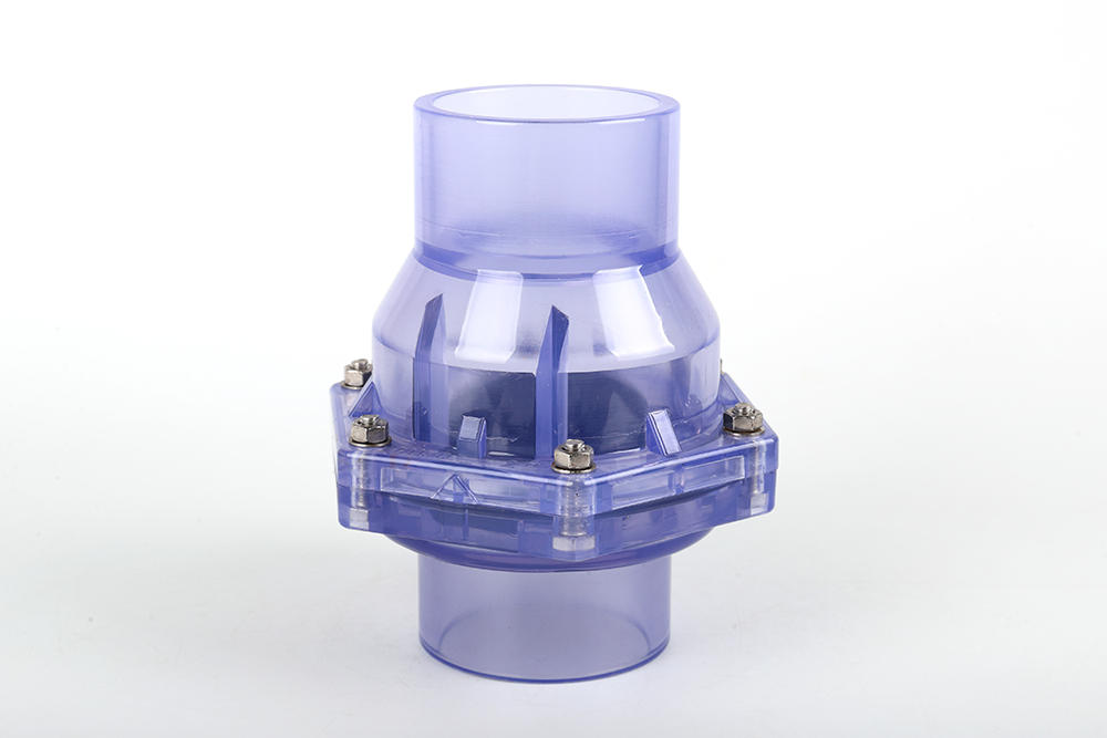 毛道乡透明翻板式止回阀